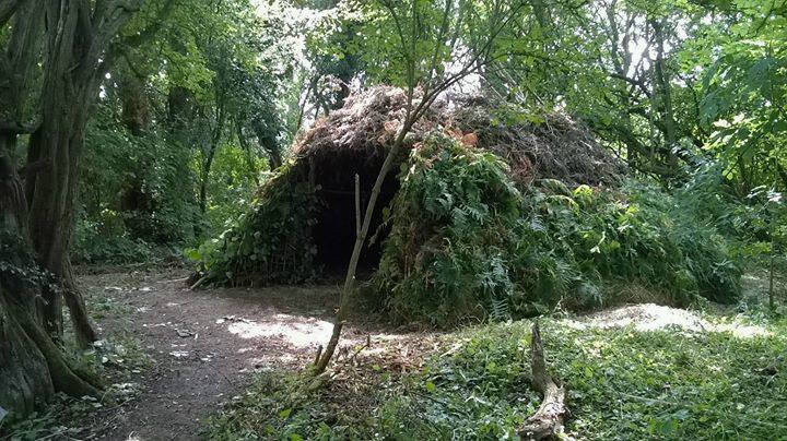 Making shelters & wild camping